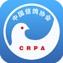 中国信鸽协会app