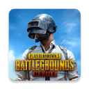 绝地求生手游国际服(PUBG MOBILE)