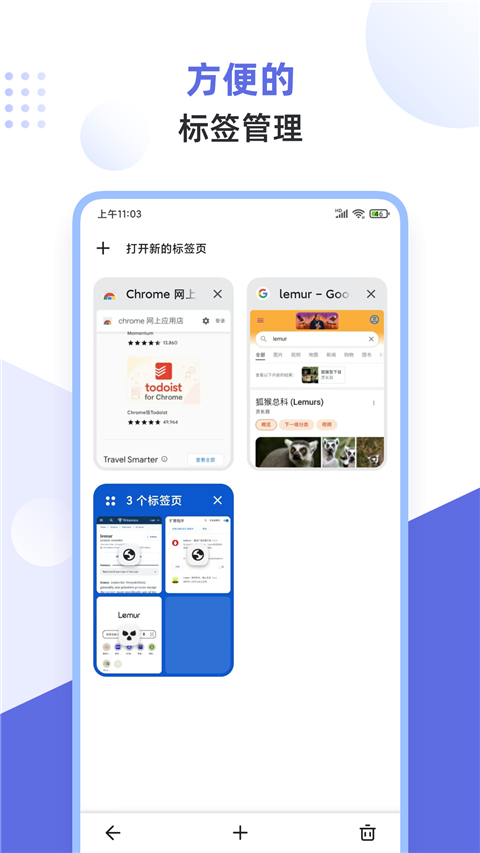 狐猴浏览器app官方版(Lemur Browser)截图