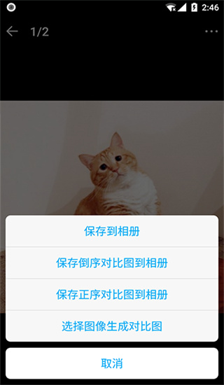 猫咪成长记app红包版最新版截图