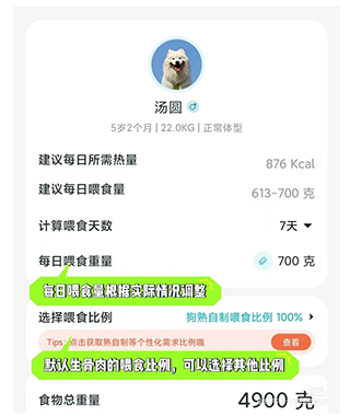 嗷呜猫狗食谱app