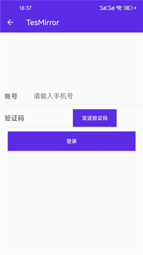 Tesmirror App投屏软件截图